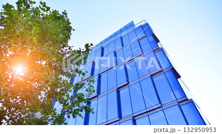 Modern luxury office building.The structure features a glass and concrete walls, showcasing contemporary architecture. The green surroundings of office buildings. Trees and shrubs in the city. 132950953