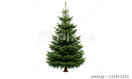 クリスマスツリー 132951233