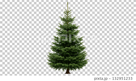 クリスマスツリー 132951233