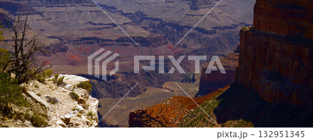 Grand Canyon Arizona Grand Canyon Arizona 132951345