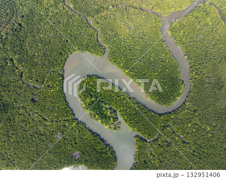 Amazing abundant mangrove forest, Aerial view of forest trees Rainforest ecosystem and healthy environment background, Texture of green trees forest top down, High angle view Amazing abundant mangrove forest, Aerial view of forest trees Rainforest ecosystem and healthy environment background, Texture of green trees forest top down, High angle view 132951406