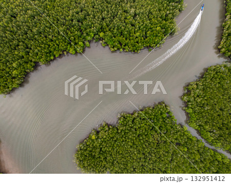 Amazing abundant mangrove forest, Aerial view of forest trees Rainforest ecosystem and healthy environment background, Texture of green trees forest top down, High angle view 132951412