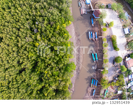 Amazing abundant mangrove forest, Aerial view of forest trees Rainforest ecosystem and healthy environment background, Texture of green trees forest top down, High angle view Amazing abundant mangrove forest, Aerial view of forest trees Rainforest ecosystem and healthy environment background, Texture of green trees forest top down, High angle view 132951439