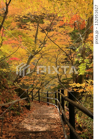 長野県上高井郡高山村牧 雷滝の紅葉 長野県上高井郡高山村牧 雷滝の紅葉 132951627