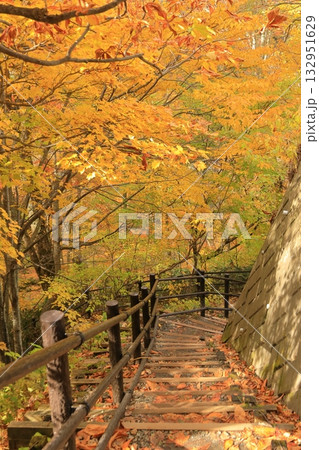 長野県上高井郡高山村牧 雷滝の紅葉 長野県上高井郡高山村牧 雷滝の紅葉 132951629