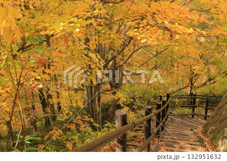 長野県上高井郡高山村牧 雷滝の紅葉 長野県上高井郡高山村牧 雷滝の紅葉 132951632