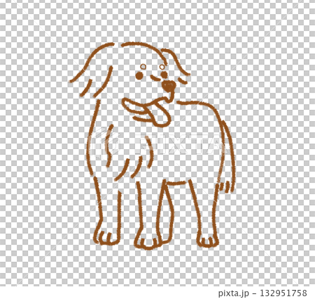 Bernese Mountain Dog 132951758