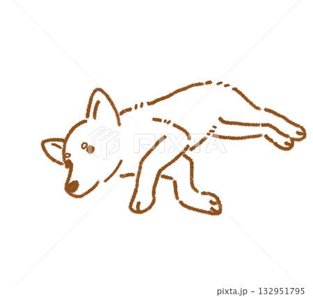 犬の線画 132951795