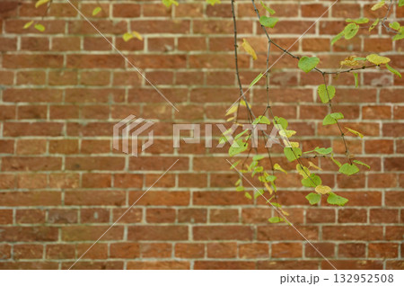 「ノリタケの森(愛知県名古屋市)」の「赤レンガ棟」 「ノリタケの森(愛知県名古屋市)」の「赤レンガ棟」 132952508