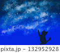 星を掴む猫 132952928