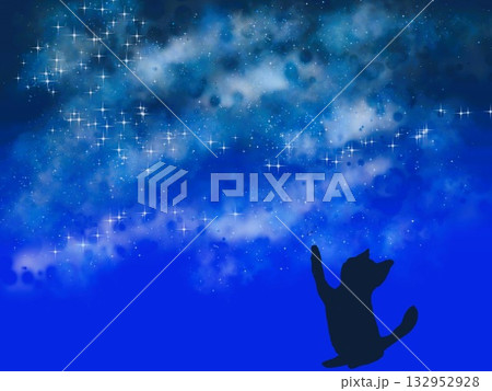 星を掴む猫 星を掴む猫 132952928