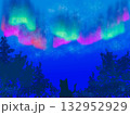 鮮やかな夜空と猫 132952929
