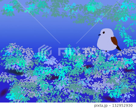 森の中のシマエナガ 132952930