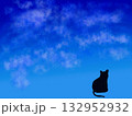 夜空のきらめきと猫 132952932