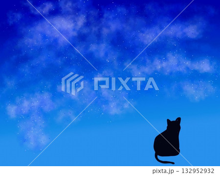 夜空のきらめきと猫 夜空のきらめきと猫 132952932