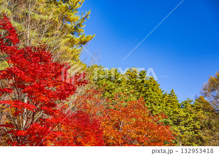 いずみ湖の紅葉　 132953418