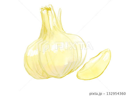 ひとかけとった白ニンニクの手描き水彩イラスト 132954360