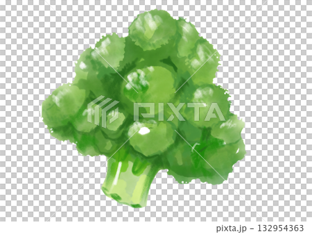 新鮮美味的西蘭花手繪水彩插圖 132954363
