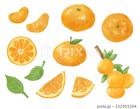 手描き風オレンジ・みかんの水彩画風イラスト｜冬の果物・食品