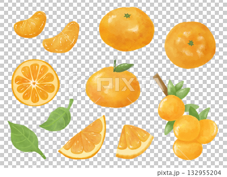 手描き風オレンジ・みかんの水彩画風イラスト｜冬の果物・食品