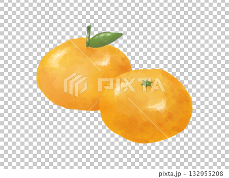手繪水彩插畫，描繪柳橙與柑橘 | 冬季水果、食物、甜點、海報素材 132955208