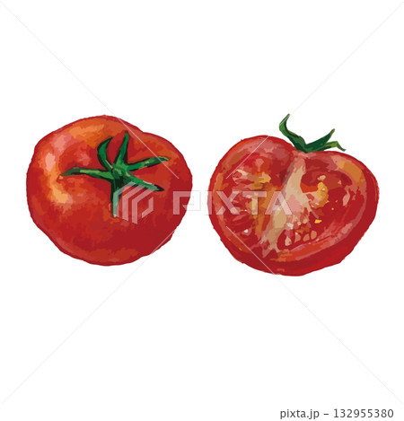 リアルな手描きのトマトのイラストセット 132955380