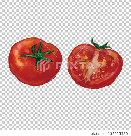 リアルな手描きのトマトのイラストセット 132955380