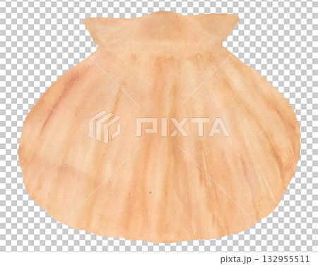 Cute scallop watercolor material 132955511