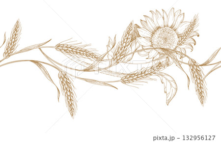 Seamless border of wheat and sunflower. Vector ink styled handmade illustration. For packaging design, cards, cover, prints, product labels and fabric. 132956127