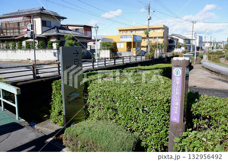 栃木市　巴波川・中州親水公園 132956492
