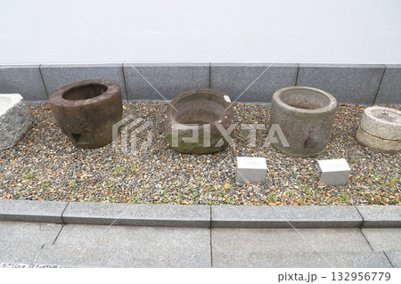 足立区立郷土博物館 & 足立区立東渕江庭園 足立区立郷土博物館 & 足立区立東渕江庭園 132956779