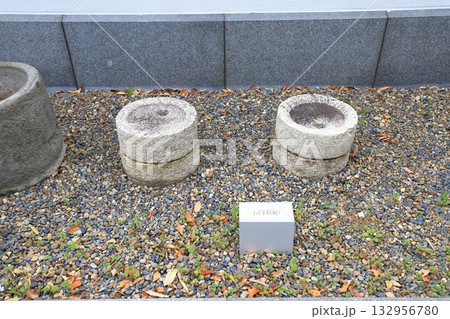 足立区立郷土博物館 & 足立区立東渕江庭園 足立区立郷土博物館 & 足立区立東渕江庭園 132956780