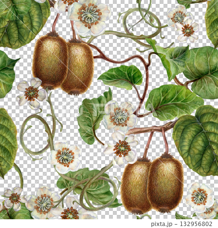 White flowers, green leaves, branches and brown fruit kiwi. Seamless pattern on a white background. Botanical template for home kitchen textiles, wrapping paper, packaging, wallpaper, scrapbook 132956802