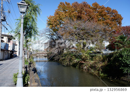 栃木市 巴波川と巴波川綱手道 栃木市 巴波川と巴波川綱手道 132956869