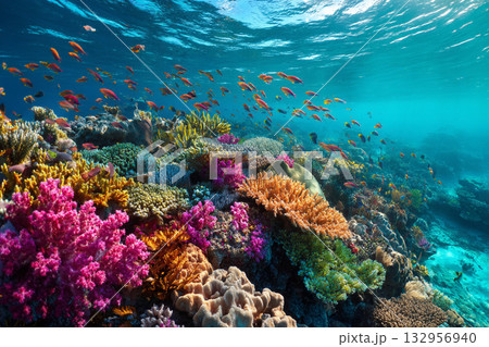 A pristine coral reef teeming with vibrant marine life, clear turquoise water, showcasing the Solomon Islands' underwater biodiversity. 132956940