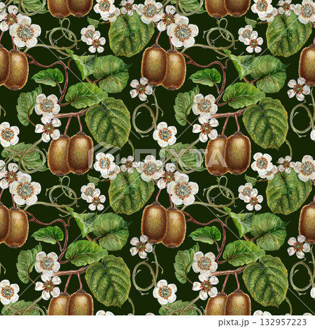 White flowers, green leaves, branches and brown fruit kiwi on a seamless pattern on a green background. Botanical template for home kitchen textiles, wrapping paper, packaging, wallpaper, scrapbook 132957223