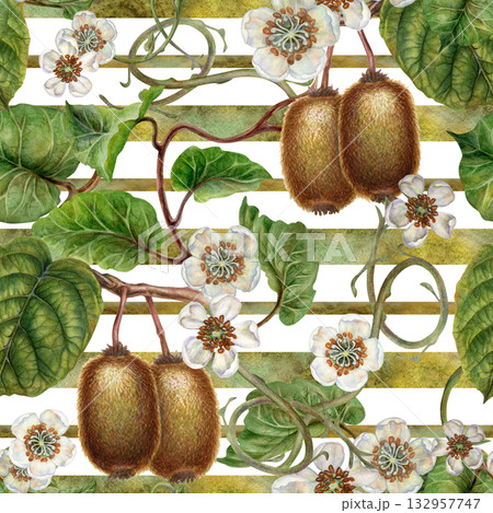 White flowers, green leaves, branches, brown kiwi. Seamless pattern on a white background with green gradient stripes. Botanical template for home textiles, wrapping, packaging, wallpaper, scrapbook White flowers, green leaves, branches, brown kiwi. Seamless pattern on a white background with green gradient stripes. Botanical template for home textiles, wrapping, packaging, wallpaper, scrapbook 132957747