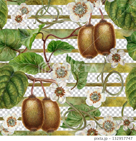 White flowers, green leaves, branches, brown kiwi. Seamless pattern on a white background with green gradient stripes. Botanical template for home textiles, wrapping, packaging, wallpaper, scrapbook 132957747