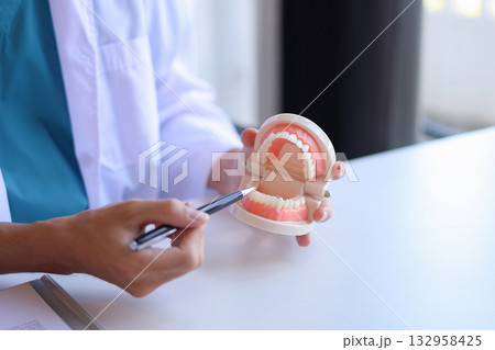 Dentist uses a dental model to explain oral health and treatments to a patient. 132958425