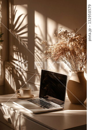 Bright sunlight illuminating a Scandinavian style room with a laptop and vase 132958579