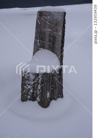 A wooden chair carved from a tree trunk stands covered with snow in a quiet winter landscape 132959439