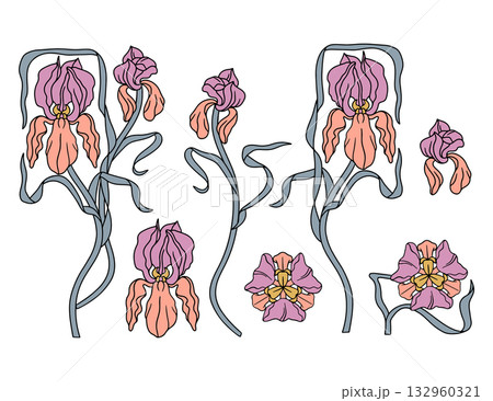 Vintage art nouveau style modern hand drawn pink iris flower clip art set 132960321