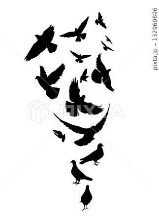 Flying pigeons birds silhouettes on white background. Vector illustration. isolated bird flying. tattoo design. 132960896