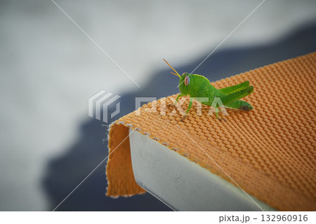 Hopper on a deckchair 132960916