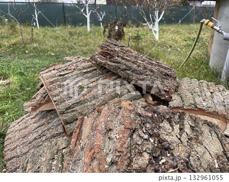 Chopping slab firewood for stove ignition 132961055