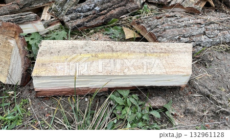 Chopping slab firewood for stove ignition Chopping slab firewood for stove ignition 132961128