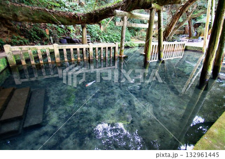 宮中の四方拝で遥拝される東国三社の一社… 『鹿島神宮』御手洗池 132961445