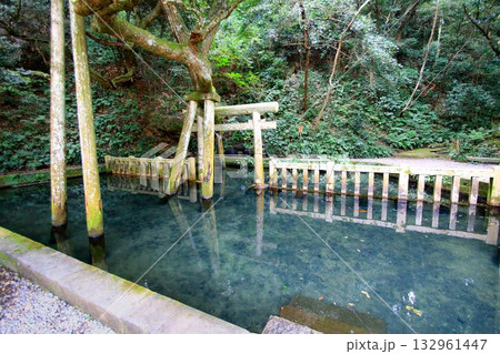 宮中の四方拝で遥拝される東国三社の一社… 『鹿島神宮』御手洗池 宮中の四方拝で遥拝される東国三社の一社… 『鹿島神宮』御手洗池 132961447