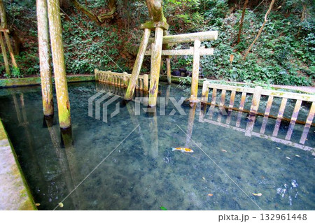 宮中の四方拝で遥拝される東国三社の一社… 『鹿島神宮』御手洗池 宮中の四方拝で遥拝される東国三社の一社… 『鹿島神宮』御手洗池 132961448