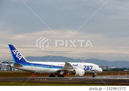 伊丹RWY14を走行する飛行機 伊丹RWY14を走行する飛行機 132961572